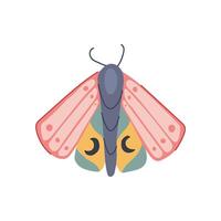 free boho moth cartoon illustration vector