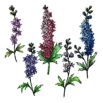 espuela de caballero conjunto bosquejo mano dibujado vector