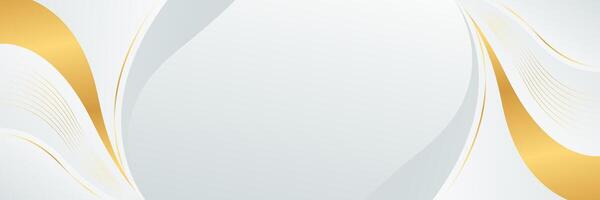 White-gray luxury banner background with gold lines. Abstract wave background design vector