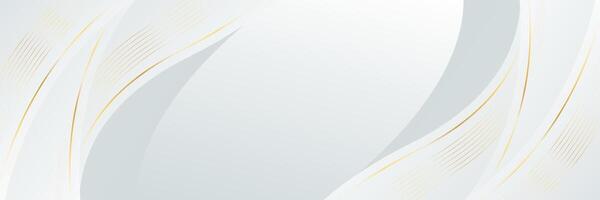 White-gray luxury banner background with gold lines. Abstract wave background design vector