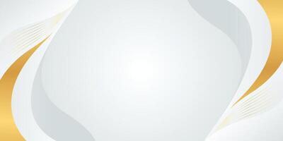 White-gray luxury background design with gold lines. Abstract wave background vector