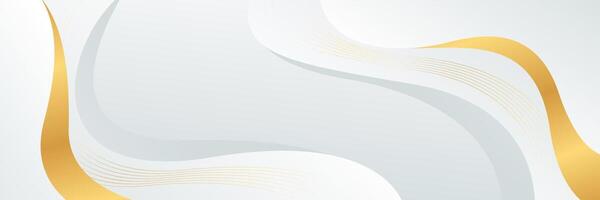 White-gray luxury banner background with gold lines. Abstract wave background vector