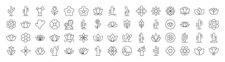 Flower Line Icon Collection. Modern Collection for Design, Web Sites, Apps, Cards. Contains Linear Images of Plants with Petals and Cactuses vector