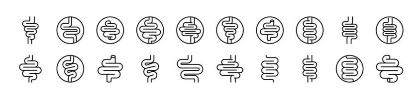 Digestion and Intestine Related Icon Set. Editable Stroke. Suitable for Web Sites, Books, Cards, Apps vector