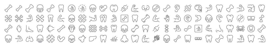 Internal Organs, Teeth and Bones Collection of Thin Icons. Editable Stroke. Suitable for Web Sites, Books, Cards, Apps vector