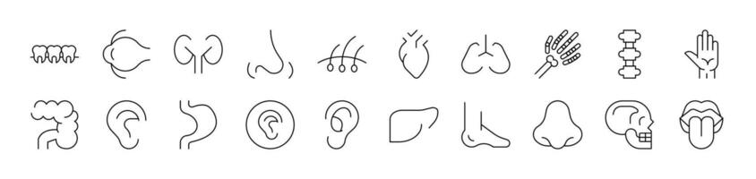 Internal Organs Icon Set for UI, Placards, Books, Apps. Editable Stroke. Suitable for Web Sites, Books, Cards, Apps vector