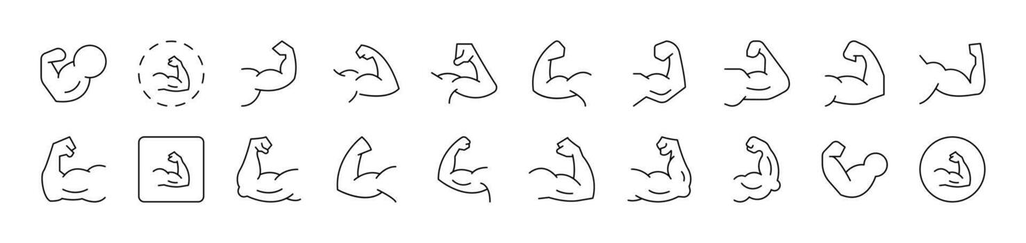 Muscles Simple Isolated Line Icons Collection. Editable Stroke. Suitable for Web Sites, Books, Cards, Apps vector