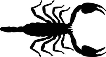 scorpion top view silhouette vector