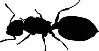 Ant silhouette illustration vector