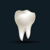 White tooth. 3d illustration of a tooth on a dark background vector