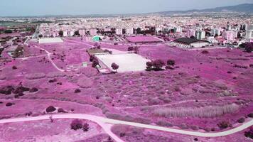 suburbs of a small town with a soccer field in a pink world video