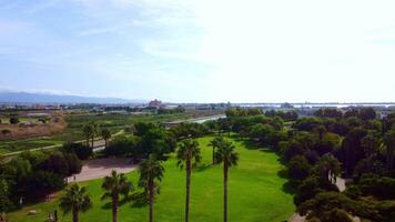 shot of a panoramic view of a city park with large green lawns and palm trees moves forward video