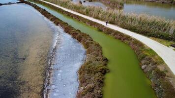 a aéreo Visão do uma canal com verde algas video