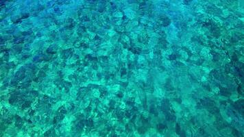 Turquoise water cascades over rocks in a shallow riverbed. Sunlight dances on the surface, creating a stunning interplay of light and shadow video