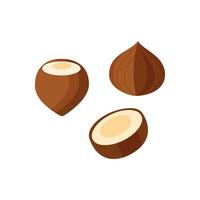 Hazelnut icon on white background. vector