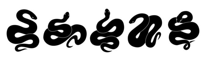 Set of snake silhouette on white background. Hand drawn illustration. vector