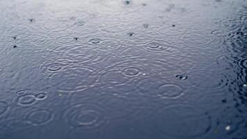 Water drops on river surface. Ripples from rain droplets falling on water surface video