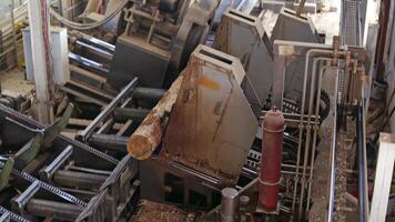 The tree sawmill factory. Logs being transferred on a log machine inside the sawmill industry video