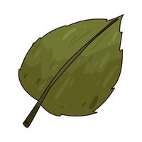Illustration of Single leaf vector
