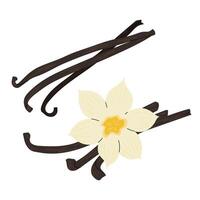 Vanilla. Set illustration of stick with flower of sweet vanilla. Ingredient for baking. Flat illustration on a white background. vector