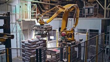 Sawmill processing on machines. Production line of the sawmill factory video