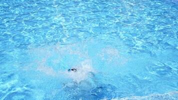 Boy diving into swimming pool. View of kid very playful and jumping in a swimming pool video