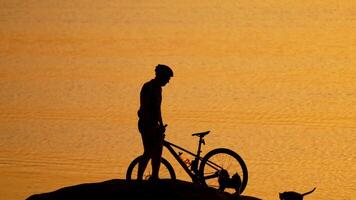 Man with bicycle resting near river. Silhouette of man with bicycle near the peaceful river with cats video