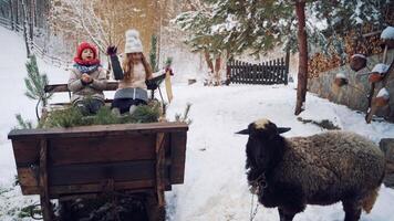 Children on sled of Santa Claus. Two children sitting on the big sled of Santa Claus video