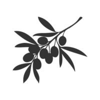 Olives branch silhouette on white background. Logo, icon, element design. vector
