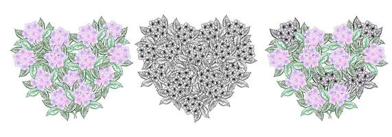 Floral heart frame set, hydrangea spring flower for design of card or invitations vector