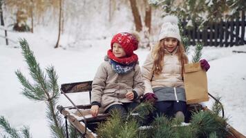 Happy children on sled. Little kids enjoying sled of Santa Claus video