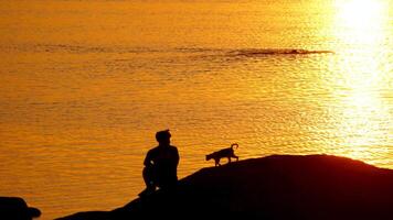 Silhouette of mountain biker at sunset. Male mountain biker resting on bike ride with cats video