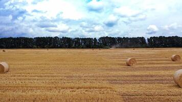 Straw bales stacked in a field. Harmonious landscape with twisted haystacks video
