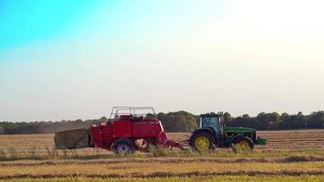 ceifa trator em campo. agricultura máquina colheita feno dentro Campos video