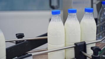 Production line at dairy factory. Automated line for the production of milk in plastic bottles video