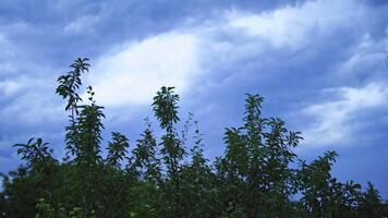 Lightning storm over sky. View of the lightning strike on the dark cloudy sky video