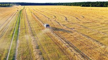Rural road in field. Aerial view of the car passing through field video