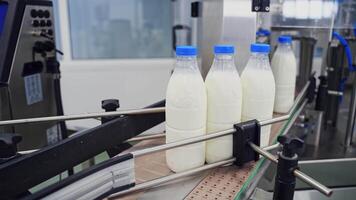 Plastic bottle on the conveyor. Plastic bottles transported on conveyor, automated production line video