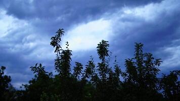 Lightning in the landscape. Lightning thunderstorm flash over the dramatic sky video