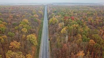 Road in beautiful autumn forest. Aerial above view of a rural landscape with road running through forest video