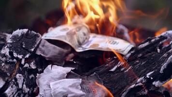 Dropping money in bonfire. Close up view of burning banknotes of money in a fireplace video