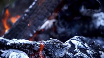 Fire flame background. Close up of burning firewood in the fireplace video