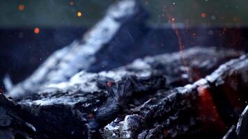 Embers after a fire. Fireplace with lots of trees for barbecue video
