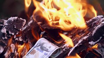 Money burned in the fire. Close up view of burning banknotes of money in a fireplace video