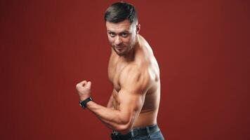 Portrait of bodybuilder in studio. Shirtless athlete with muscular body showing his trained biceps. Topless sportsman isolated in studio. video