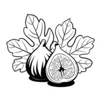 Black and White Fig Illustration vector