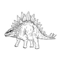 Graphics black and white dinosaur. Black line illustration with stegosaurus in the ink style. vector