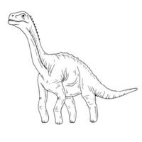 Graphics black and white dinosaur. Black line illustration with diplodocus in the ink style. vector