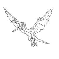 Graphics black and white dinosaur. Black line illustration with pterodactyl in the ink style. vector