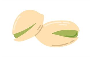 isolated on white, flat illustration of green pistachio nut in shell. vector